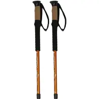 Aulp Bastoncino Trekstick