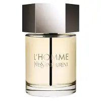 Yves Saint Laurent L'Homme Uomo 100 ml — Eau de Toilette
