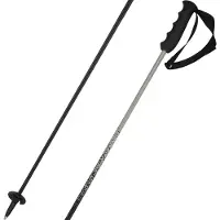 Head Bastoncini Porsche Carbon