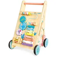 Hape Primi Passi In Legno Di Iti