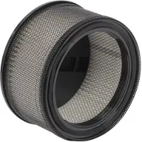 Powerplus Filtro Aspirapolvere Per Cenere 164x92 Mm