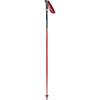Swix Bastoncini Wc Pro Slalom