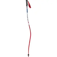 Swix Bastoncini World Cup Pro Dh Carbon