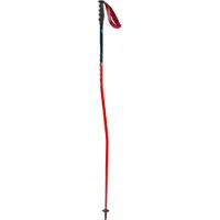 Swix Bastoncini World Cup Pro Super-g