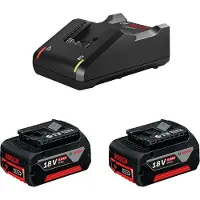 Bosch Set di alimentazione (2 x 18V 5,0 Ah + GAL18V-40)