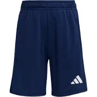 Adidas Pantaloni Corti Entrada 26 Training