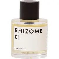 Rhizome Eau De Parfum Edp 1 100 Ml