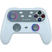 Oniverse Switch 2 Controller Walli