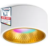 SSC-LUXon OLINO faretto da superficie oro bianco con lampada LED compatibile con Alexa, Siri e Google - Faretto piatto con Smart LED RGB+W GX53