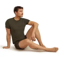 Icebreaker Anatomica S/S Crewe Intimo lana merinos Uomo (L, grigio)