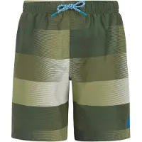 Protest Kid's PRTJames Pantaloncino da bagno Bambini (140, olivia)