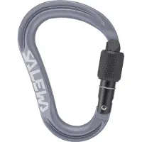 Salewa Ortles HMS M Carabiner Connettori HMS grigio