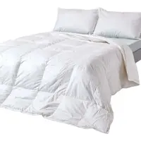 Homescapes Piumino per tutte le stagioni Premium 230 x 220 cm – Piuma d'anatra, classe termica 3