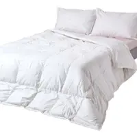 Homescapes Piumino caldo premium per tutte le stagioni 230x220 cm – Piumino d'oca, classe termica 3-4