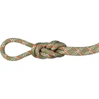 Mammut 9.5 Gym Classic Rope Corda intera (40 m, beige)