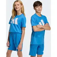 Adidas Kid's Bold Tee 160 T-shirt Bambini (128, blu)