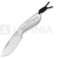Kizer Cutlery Buddy 1081A4 Satin AEB-L, Acrylic, coltello fisso, Maksim Epifantsev design