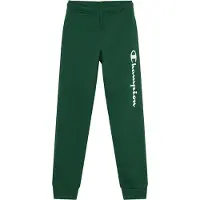 Champion Pantaloni verde scuro / bianco