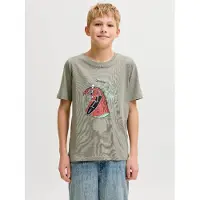 Jack & Jones T-shirt Boys
