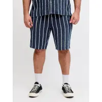Jack&Jones PLUS Plus Size Bermuda Jogger Fit