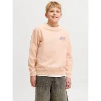 JACK&JONES JUNIOR Felpa Stampa Sul Retro Boys