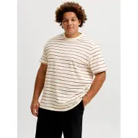 Jack & Jones Plus Size T-shirt A Righe