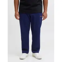 Plus Size Pantaloni Relaxed Fit