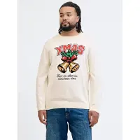 Jack & Jones Plus Size Pullover