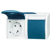 Busch-Jaeger Presa doppia Schuko 20/2EWN-53 orizzontale oceanica con targhetta 20/2EWN-53 (2084-0-0703)