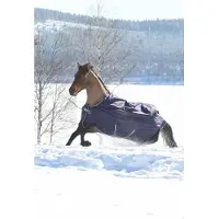 Bucas Outdoordecke 300g Smartex Turnout Extra Weidedecke Blu 125 cm