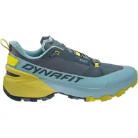 Dynafit Transalper 2 GTX Scarpe da avvicinamento Uomo (47, turchese)