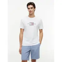 Tommy Hilfiger Script Flag Regular White Taglia: S | T-shirt stampate Outlet | Uomo | Bianco