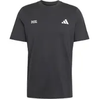 Adidas Run Essentials Graphic T-Shirt Maglia da corsa Uomo (M, grigio)