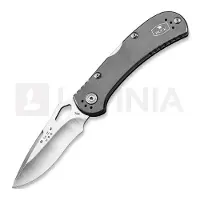 Buck Coltello pieghevole SpitFire, grigio