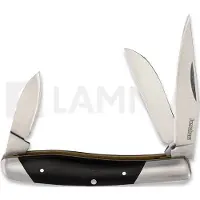 Kershaw Coltello pieghevole Iredale