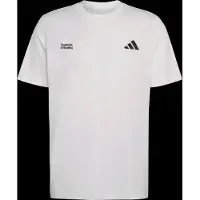 Adidas Run Essentials Graphic T-Shirt Maglia da corsa Uomo (XL, grigio)