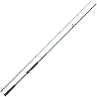 Daiwa Canna Spinning Caldia Seabass Distance