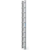 Zarges Scala da tetto a 10 pioli in alluminio naturale