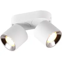 TRIO Lighting Guyana faretto da soffitto GU10 2 luci bianco