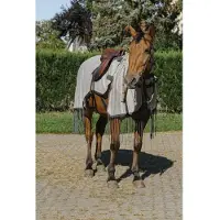 Ekkia Tappeto Riding World fly grigio, QHP17_size:165