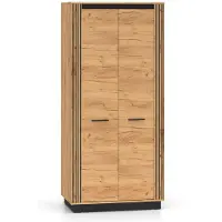 Feldmann-Wohnen Armadio Urso 92x55x200cm Gold Craft rovere nero 2 ante