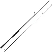 Savage Gear Canna Spinning Defiance Sg4 Inshore