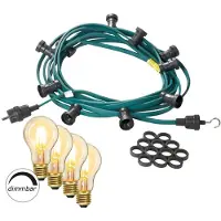SATISFIRE Catena luminosa per feste 10m - Catena luminosa per esterni verde - Germany -10x lampadine dimmerabili