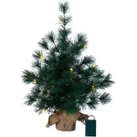Star Trading 600-35, Zelená, IP20, LED, 20 lampadine, Luce bianca calda, Alimentazione a batteria