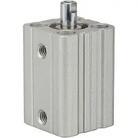 RIEGLER Cilindro a corsa breve "ACQ" a doppio effetto, pistone Ø 16, corsa 10, M5x0,8