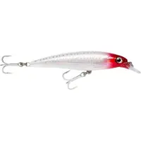 Rapala Minnow X-rap Saltwater 13g 100 Mm