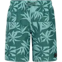 Protest Kid's PRTWilliam Pantaloncino da bagno Bambini (140, turchese)