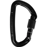 Wild Country Session Screw Gate Moschettoni a ghiera nero