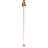 Fischer Bastoncini Junior Rd Sl