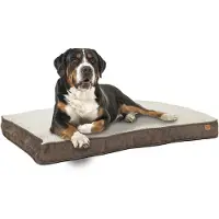 Ib style Cuccia per cani, cesta per cani, cuscino per cani, 120 x 78 cm, lavabile e antiscivolo, Happy Dreams XL, marrone,